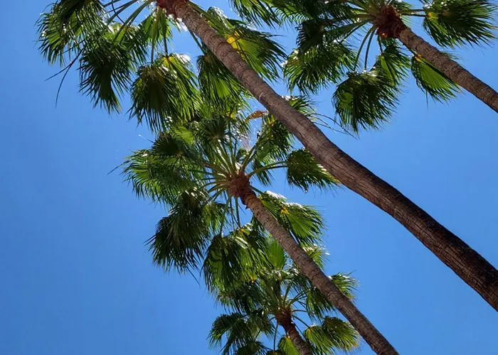 Playa De Americas El Dorado Con Vistas Directas Piscina Apartament *