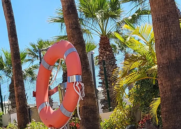 Playa De Americas El Dorado Con Vistas Directas Piscina *