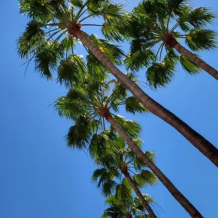 Playa De Americas El Dorado Con Vistas Directas Piscina Апартаменты *